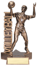 Billboard Series Male Volleyball Resin 6-1/2  or 8-1/2  inch