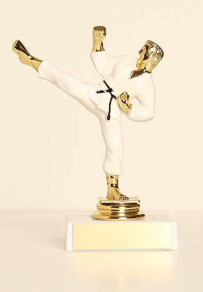 Male Karate / Colored Figure on Base 6" Trophy