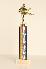 Male Karate Tube Trophy