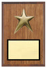 Walnut Veneer Plaque with Star Plate 7x 9, 8x 10, 9x 12 inch