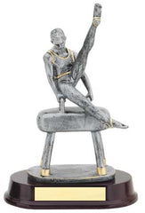 Rx Series - Male Gymnastics, Silver with Gold Trim 11inch